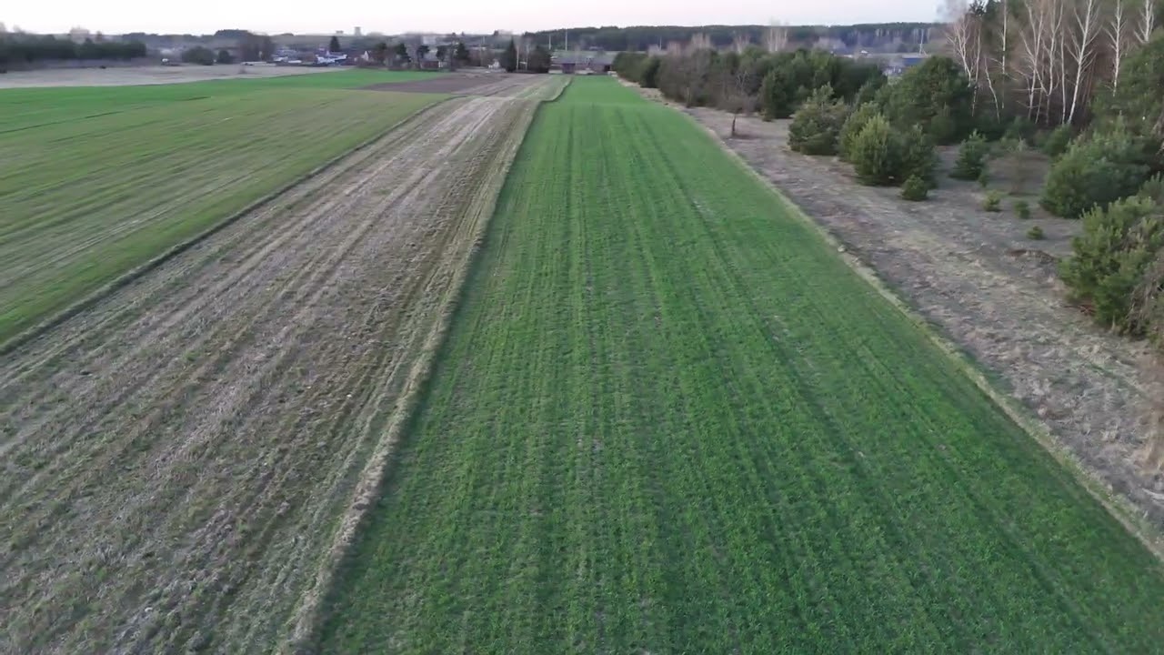 DJI 20250403192729 0036 sarny