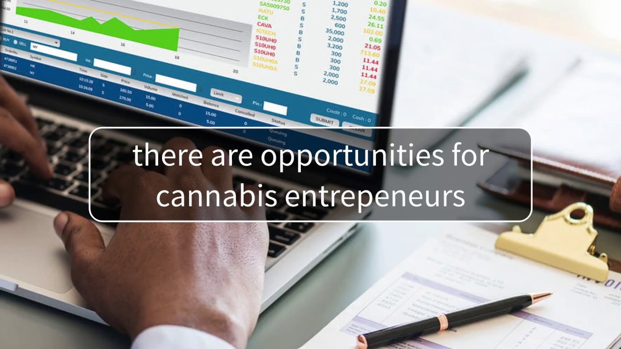 Cannabis Equals Opportunity