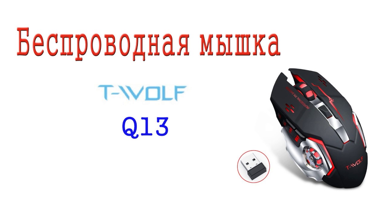 Беспроводная аккумуляторная мышка T-Wolf Q13