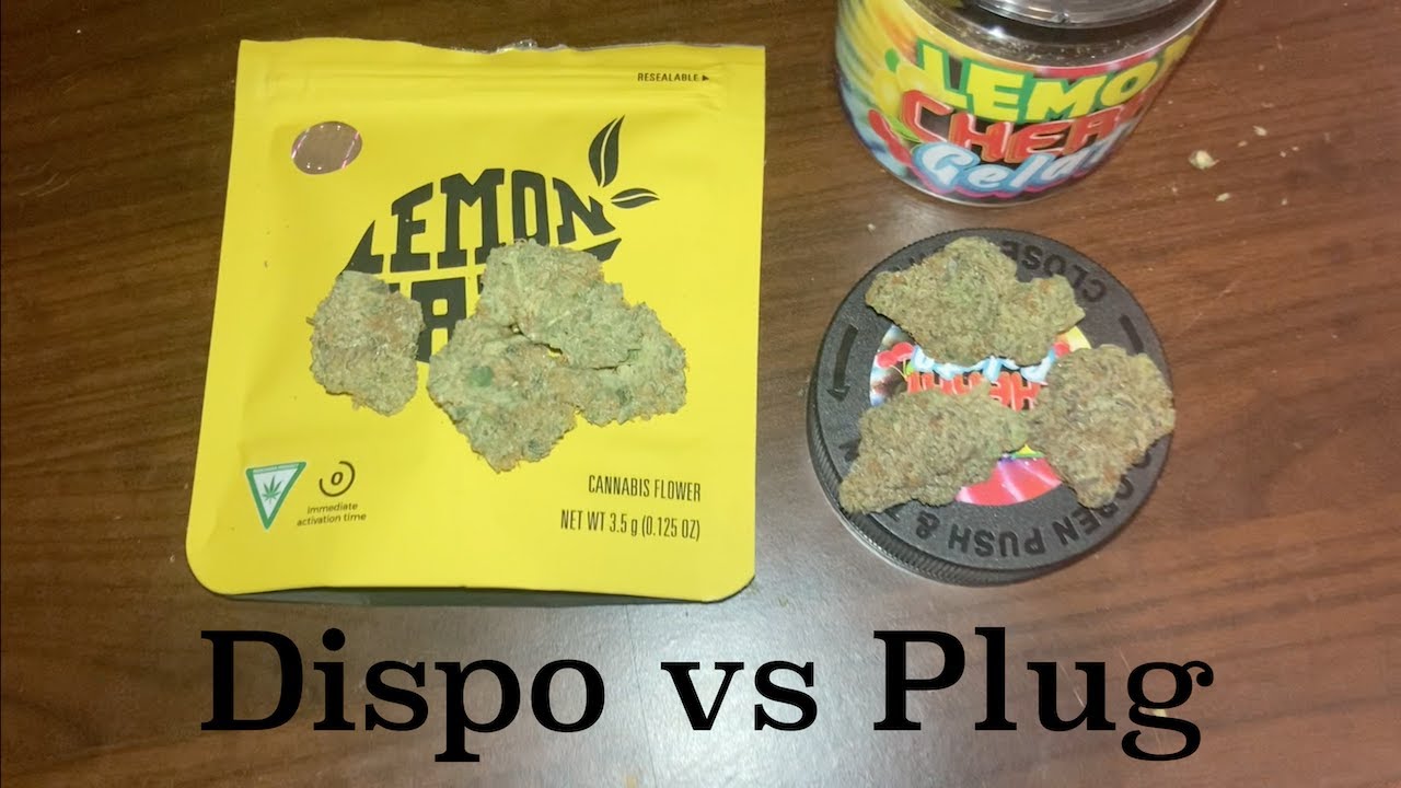 Lemonade Lemon Cherry Gelato vs Plug Lemon Cherry Gelato - Strain Review #20