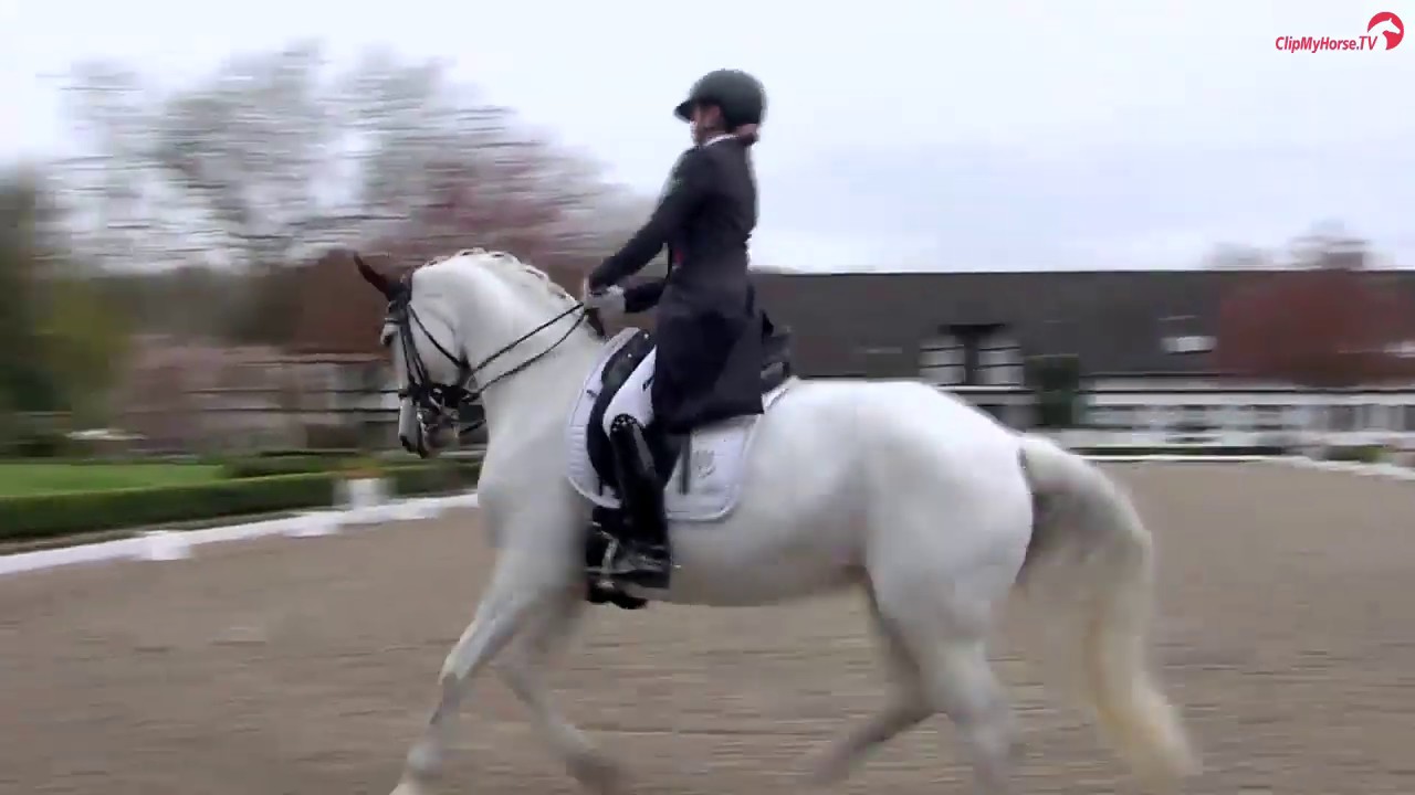 Fire Moon - Preis der Besten Sichtung Kronberg 2019