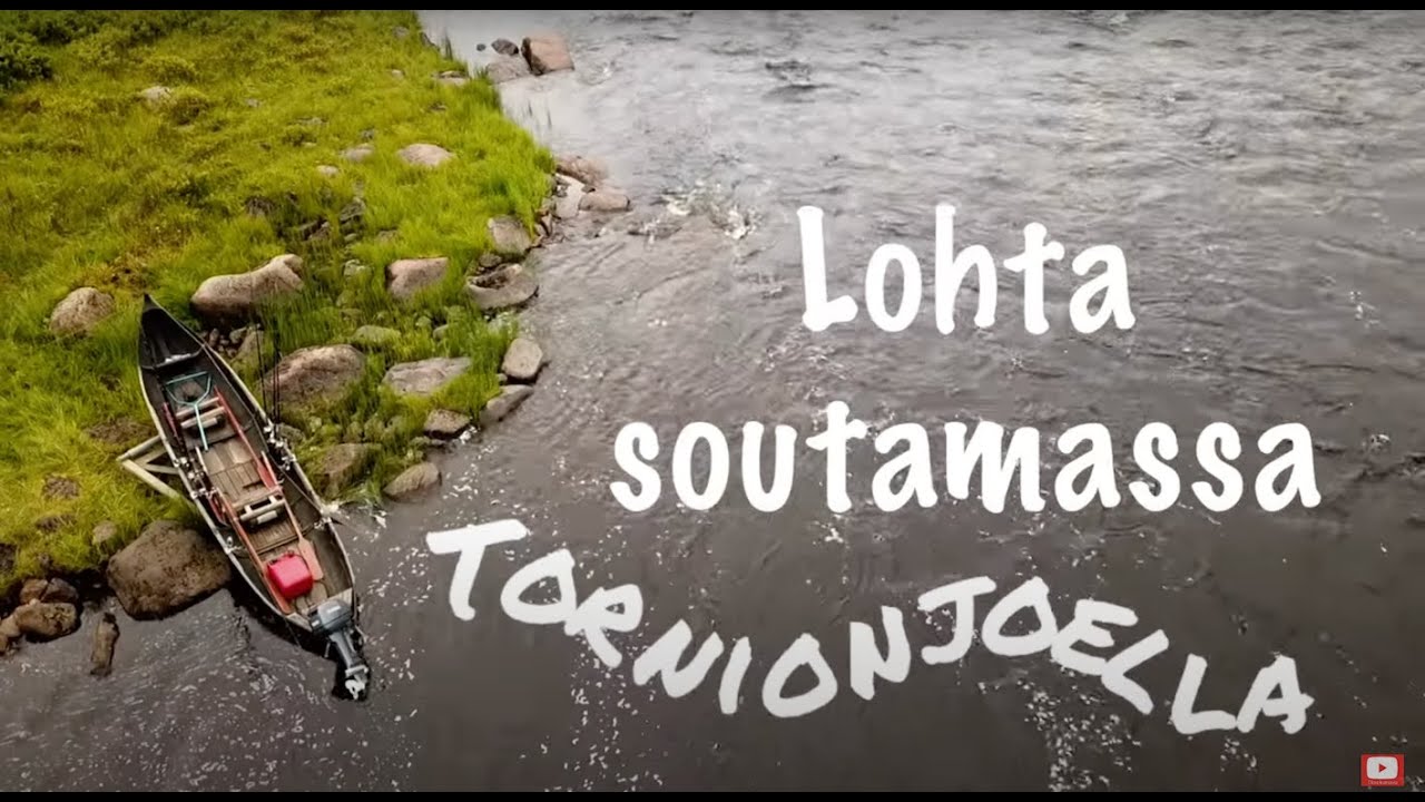 Lohta soutamassa Tornionjoella | Ilmoitusvelvollisuus tulee