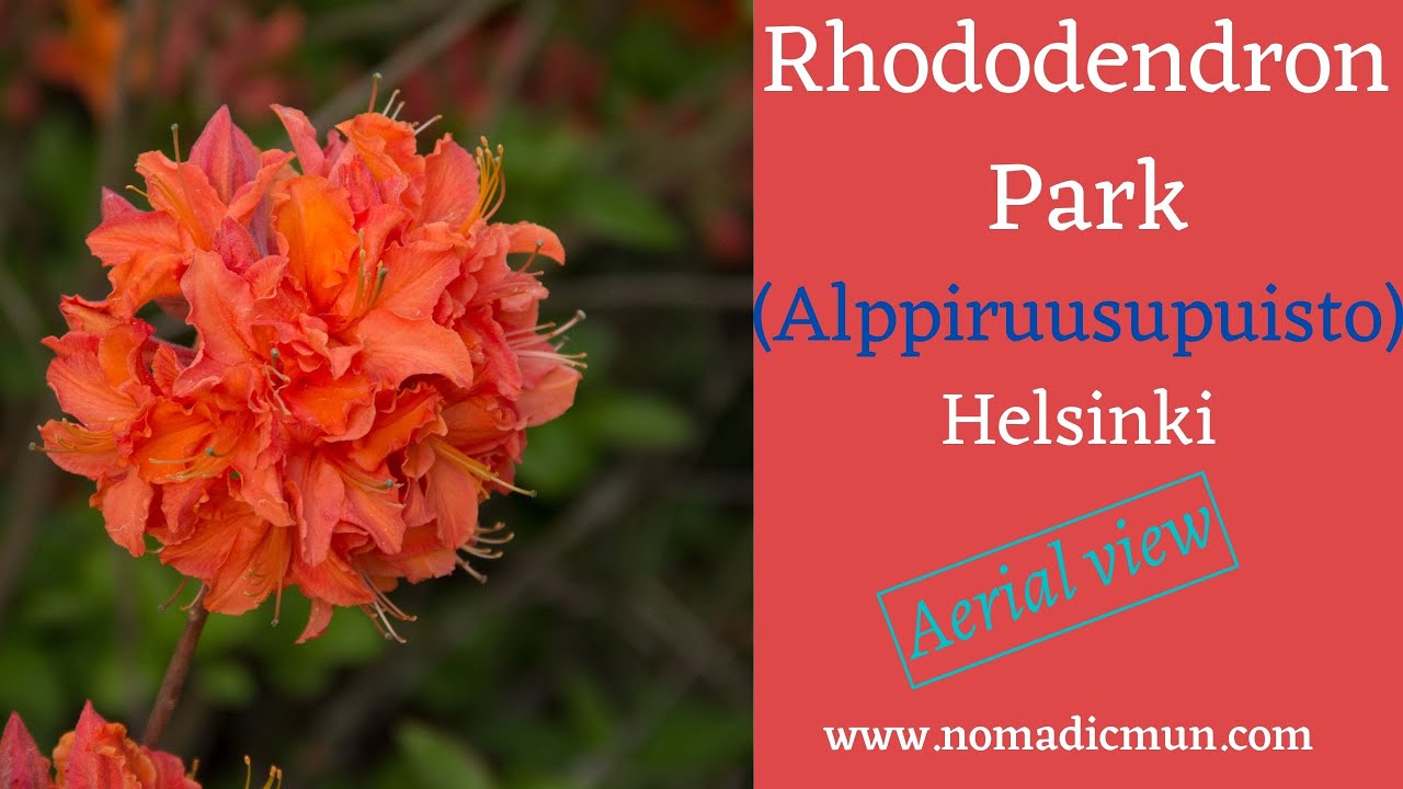 RHODODENDRON PARK (Haagan Alppiruusupuisto) | Helsinki |  | Finland | By Drone