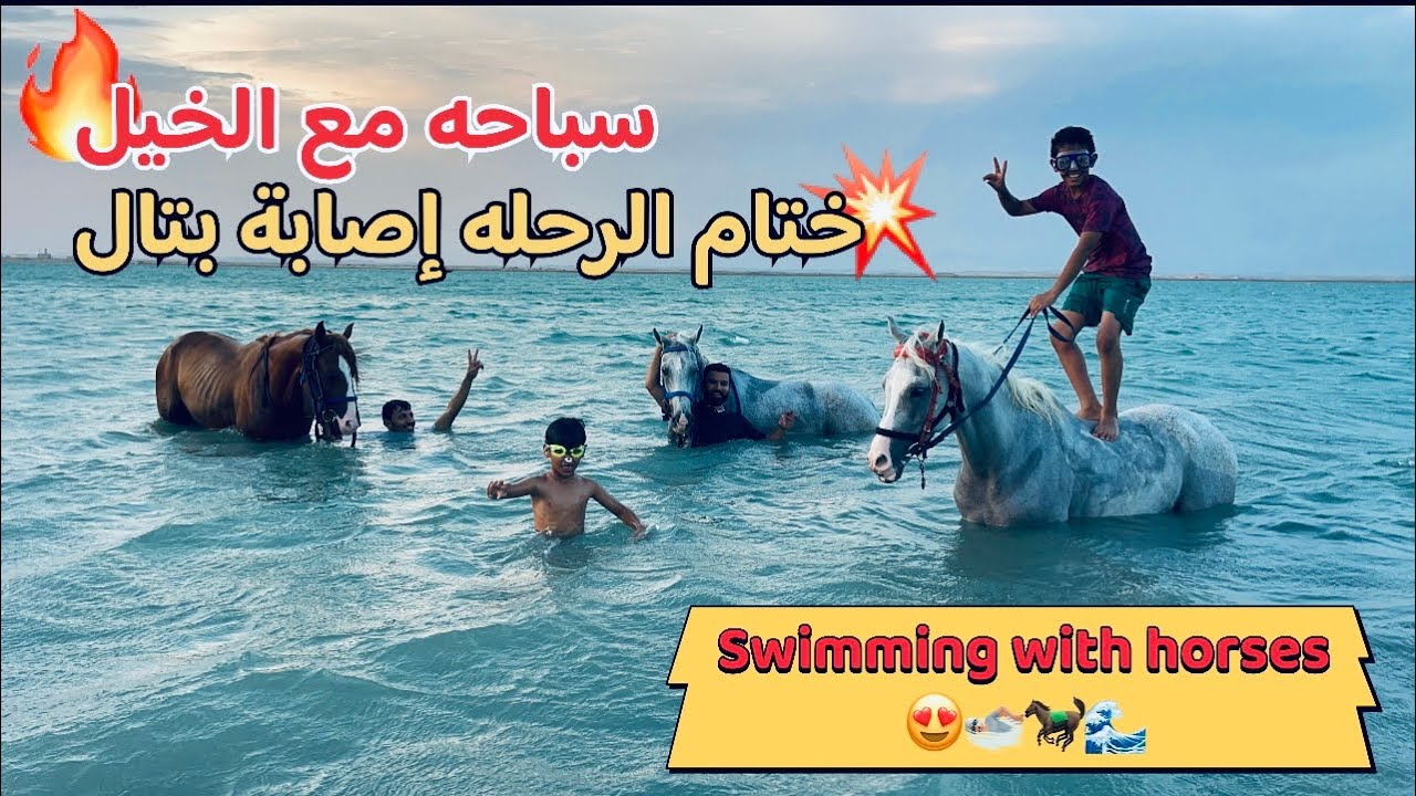 سباحه مع الخيل😍🏊🏼🐎|| سعد شرب نص البحر😂🌊 Swimming with horses