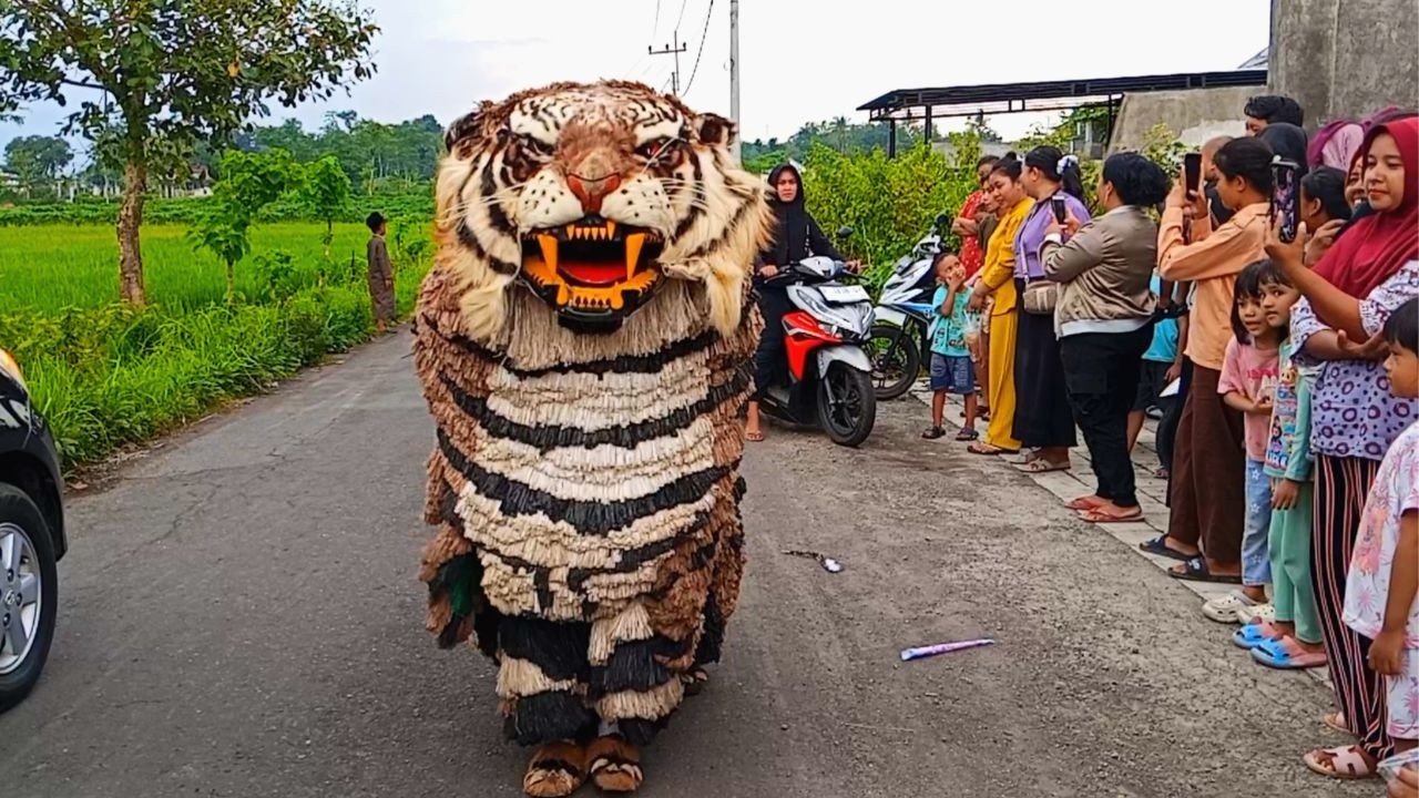 Seru kirab can macanan singo raung dan drumband sunda di randu cangkring acara karnaval