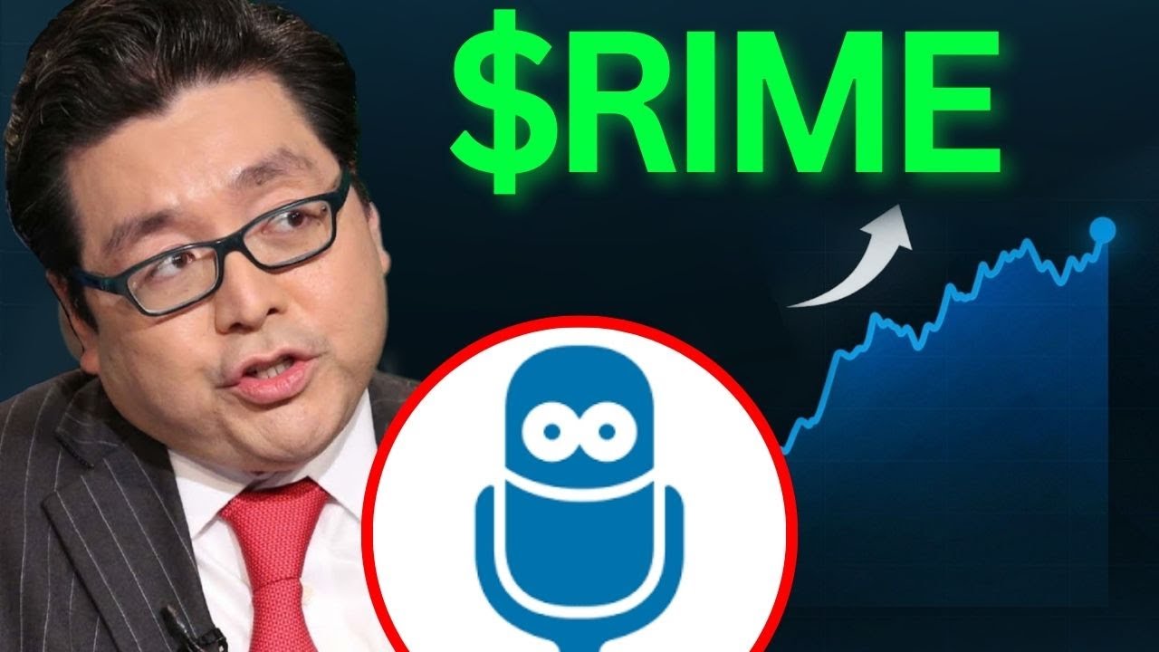 RIME Stock NEWS ALERT! (Just Copy Me) Algorhythm Holdings stock best broker review