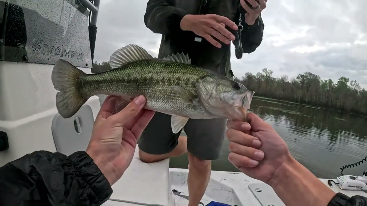 Fishing lake houston in pre-spwan rainy stormy day