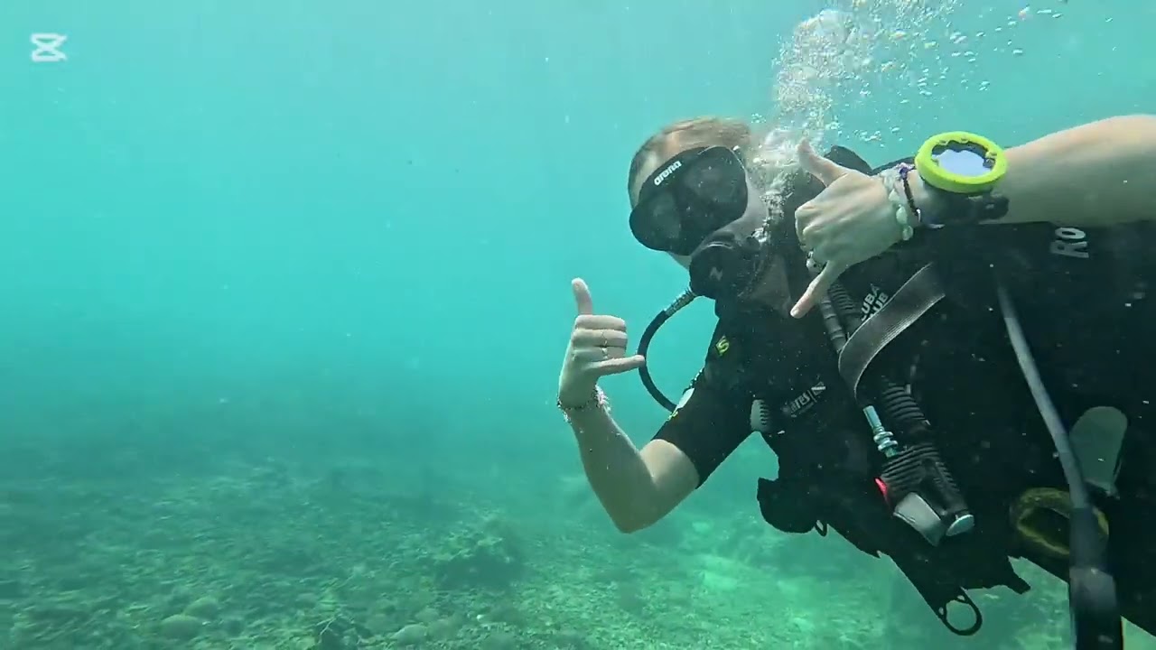 Tajlandia Koh Tao Nurkowanie 2026