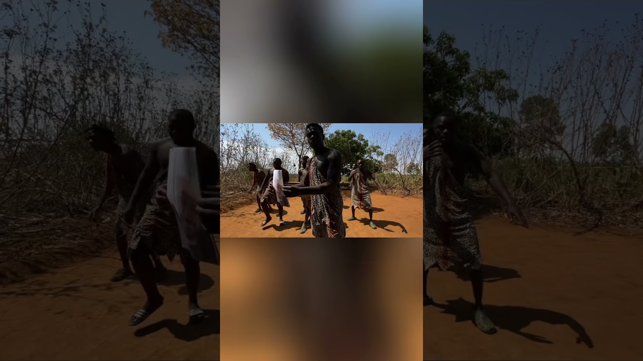 african birthday wishes birthday video african birthday greeting#wish#birthday #typ#foryou#greetings