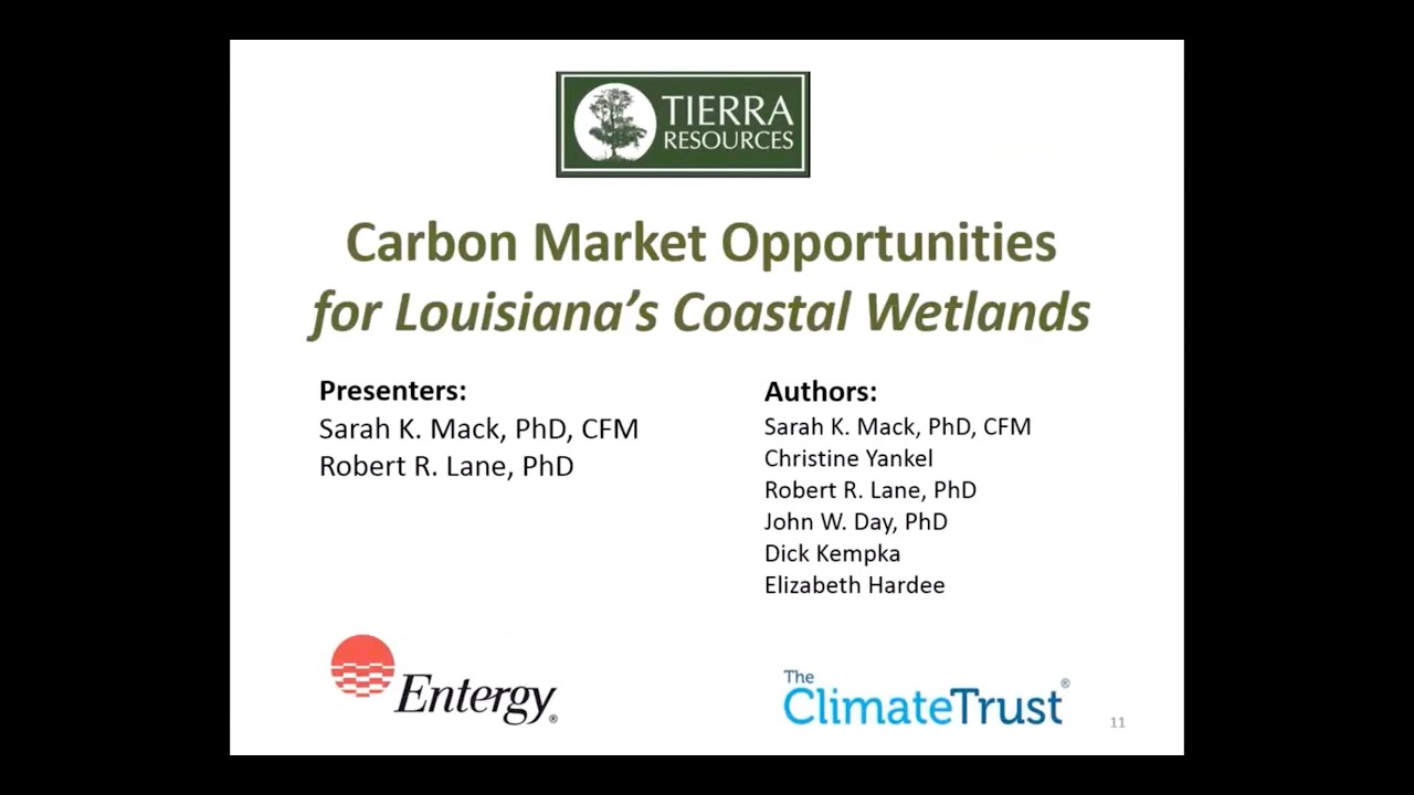ACR Webinar: Carbon Market Opportunities for Louisiana’s Coastal Wetlands