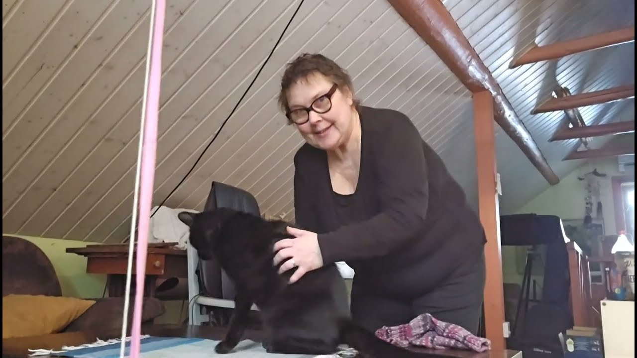 Tt- kuvan tulos ja eläimiä. Animals and everything else.