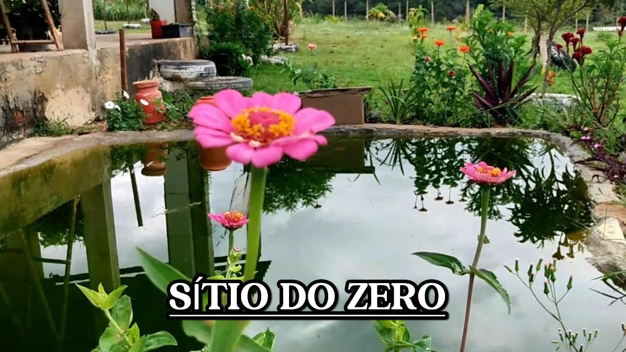 Estamos VIVENDO O SONHO Que SONHAMOS ! 🌿Nossa Vida no Sítio do ZERO 🌿