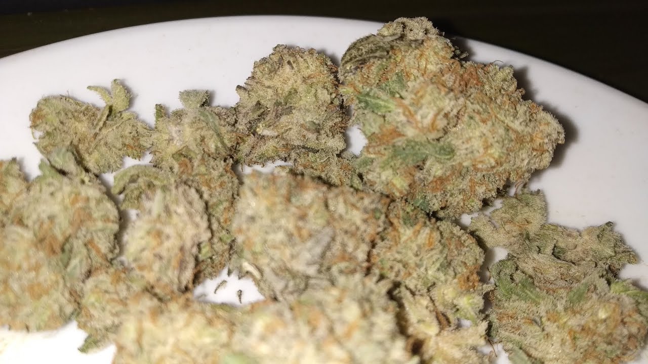 BC Weed Review #09 - Platinum Blackberry