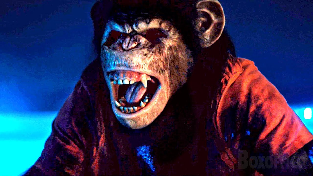 Su mono mascota tiene rabia | Primate | Clip en Español