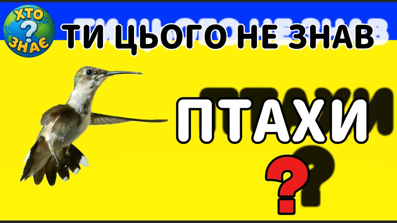 😱 Ти точно цього не знав! 30 фактів про птахів з поясненнями