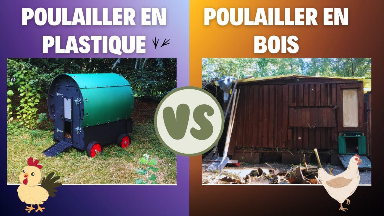 Poulailler en Bois VS Plastique : Quel est celui qui vous plaira le plus ?