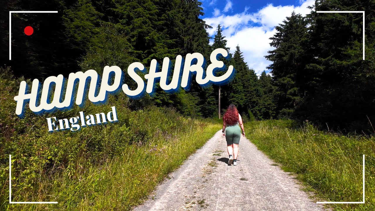 Queen Elizabeth Country Park, Hampshire, England | Relaxing Forest Walk | Aug 2025