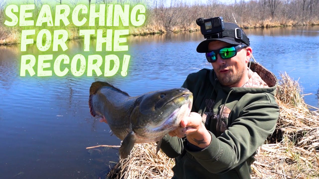 How to catch Bowfin (Early Spring Tactics)