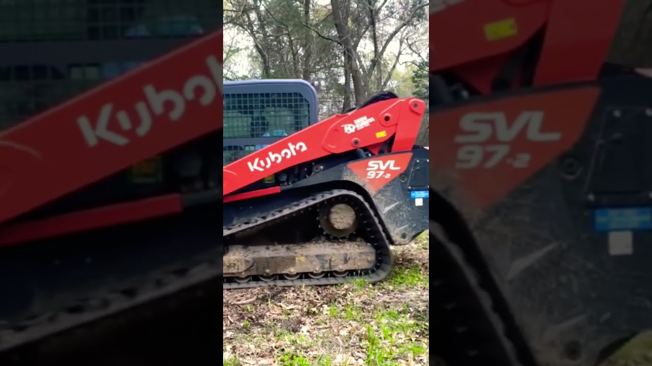 FAE Mulcher Eating Dead Trees! #landclearing #faemachinery #skidsteer
