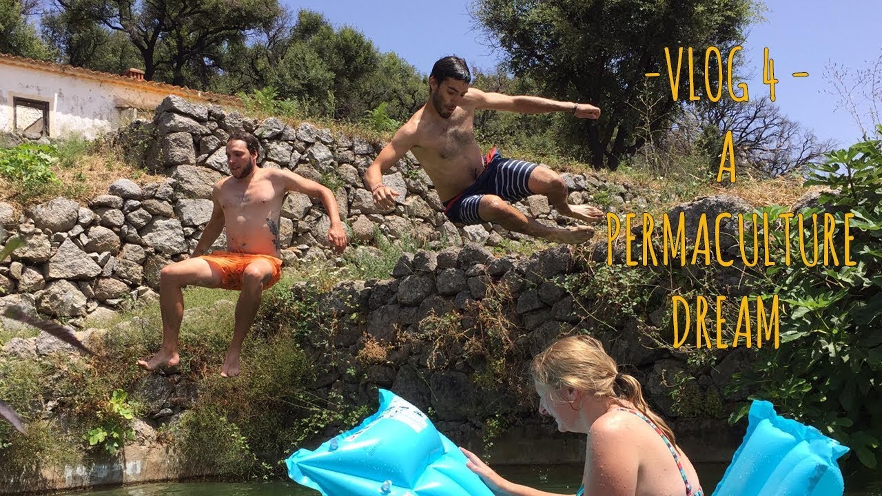 ABLE2SUSTAIN VLOG 4 - A PERMACULTURE DREAM