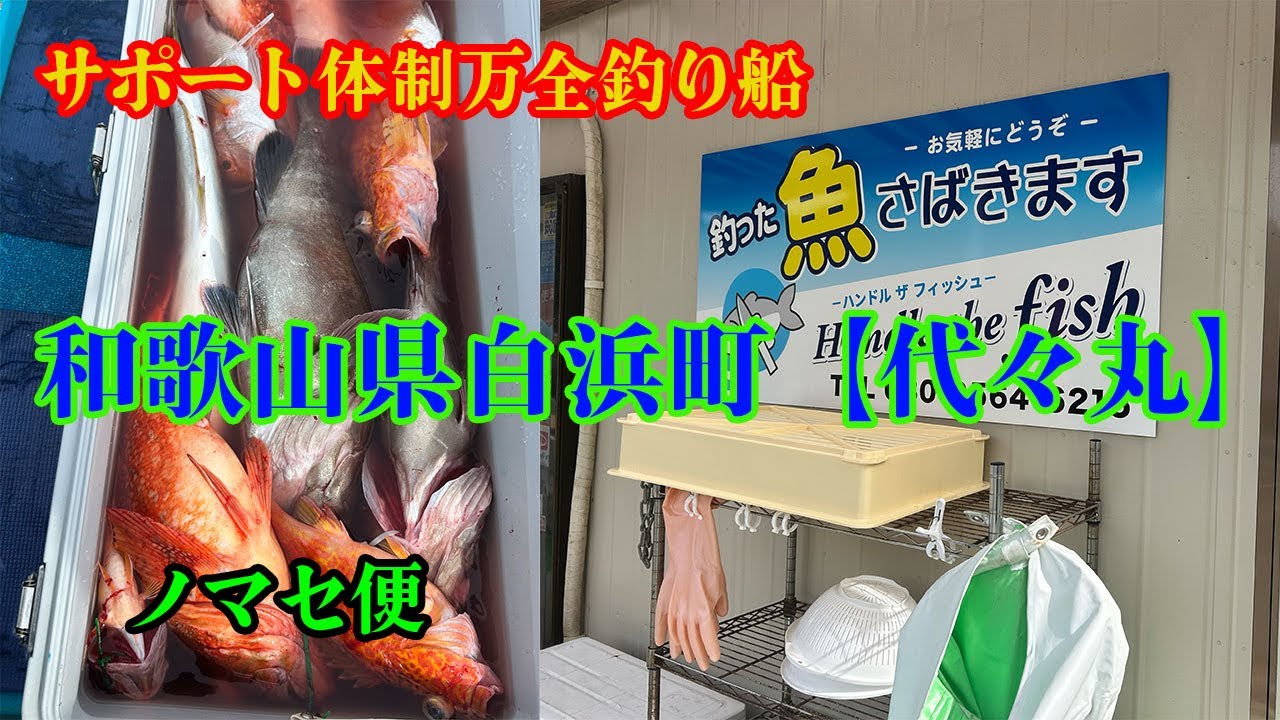 冬でも釣りには行ってしまう...【代々丸/和歌山県白浜町】ノマセ便