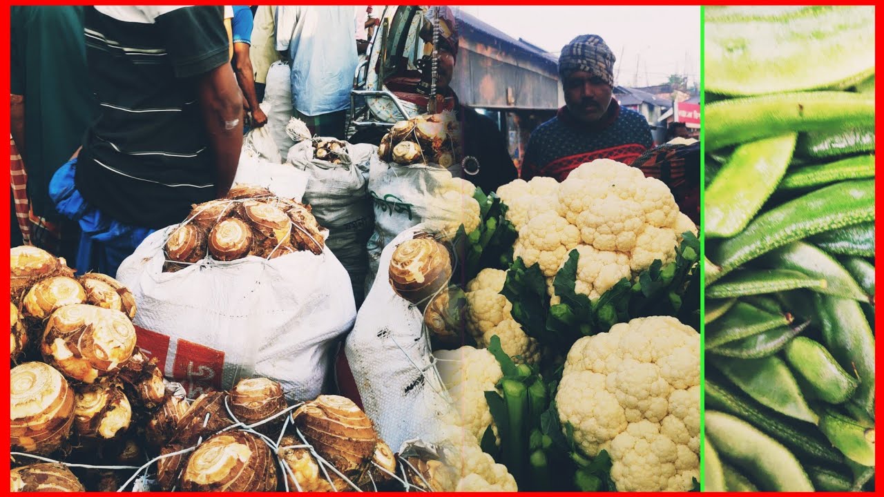 ২০,জানুয়ারি সবচাইতে সবজি এলাকার বাজার সাগরদিঘী বাজার ঘাটাইল টাংগাইল বিস্তারিত 