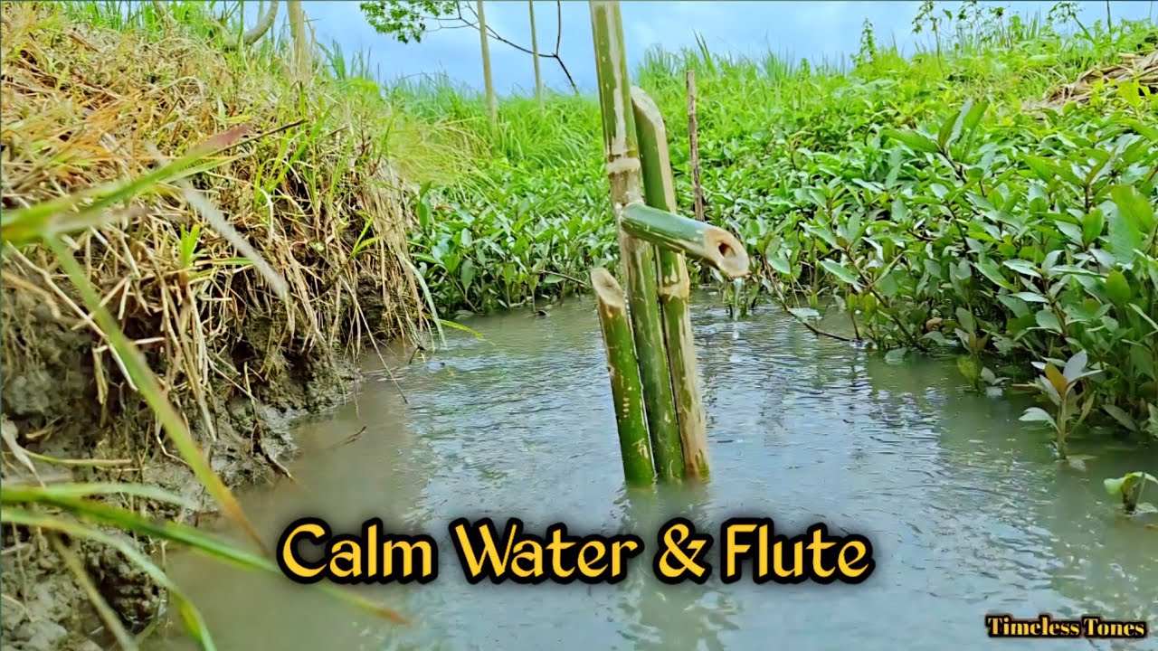 Relaxing Water Stream & Andean Flute | Nature Meditation Music