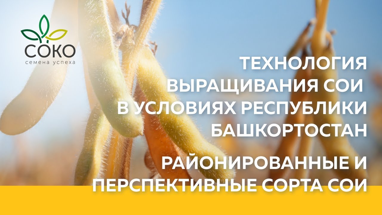 Технология выращивания сои в условиях Республики Башкортостан. Районированные и перспективные сорта.