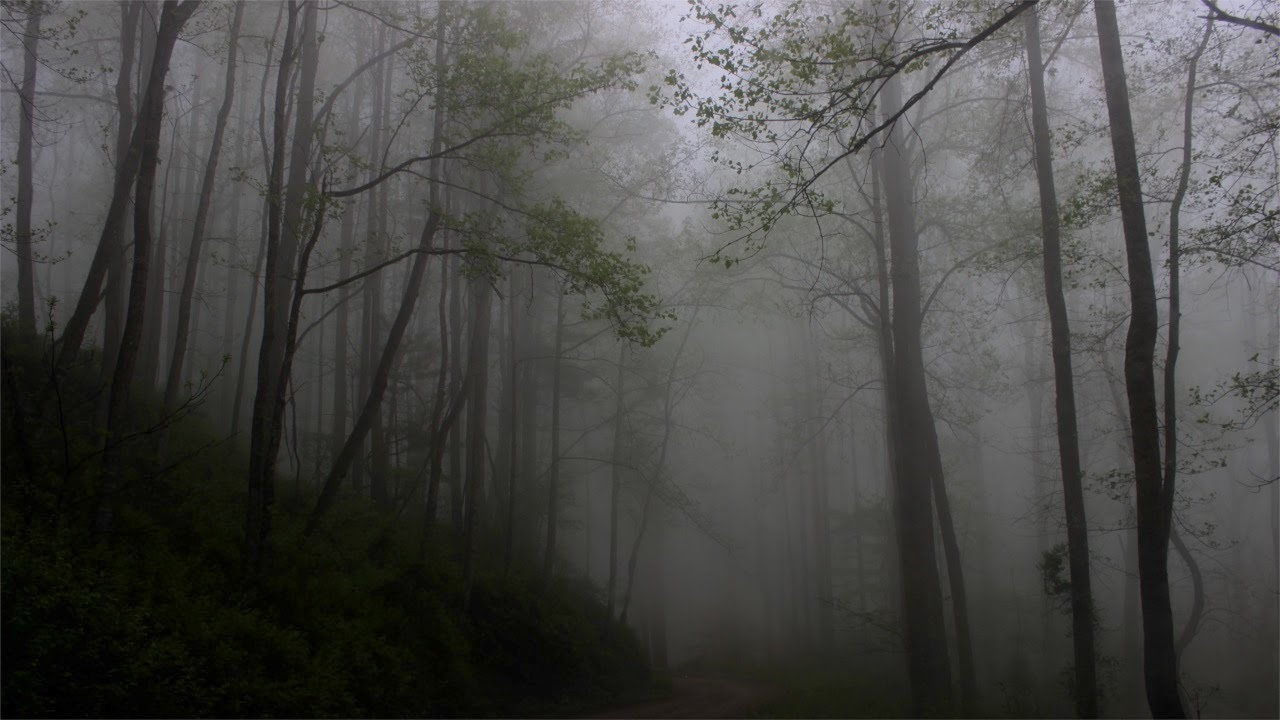 Epic Atmospheric Metal - Dark Woods