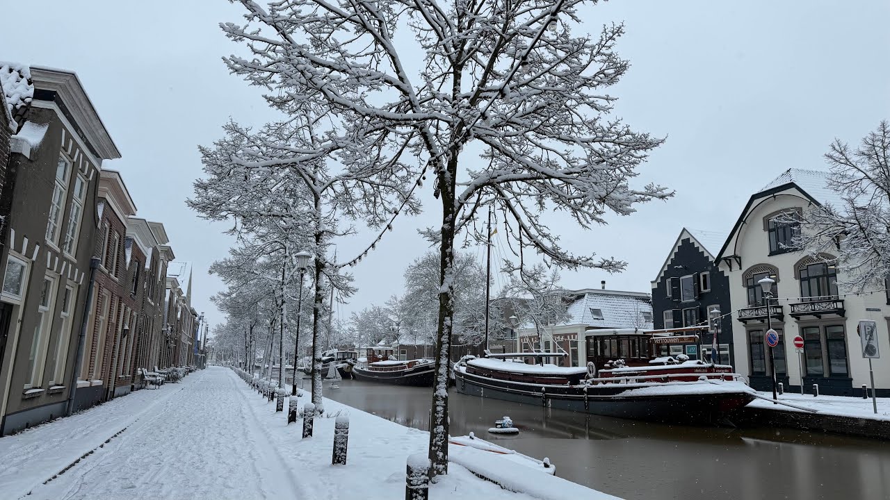 Winter || Snowfall|| Livestream 