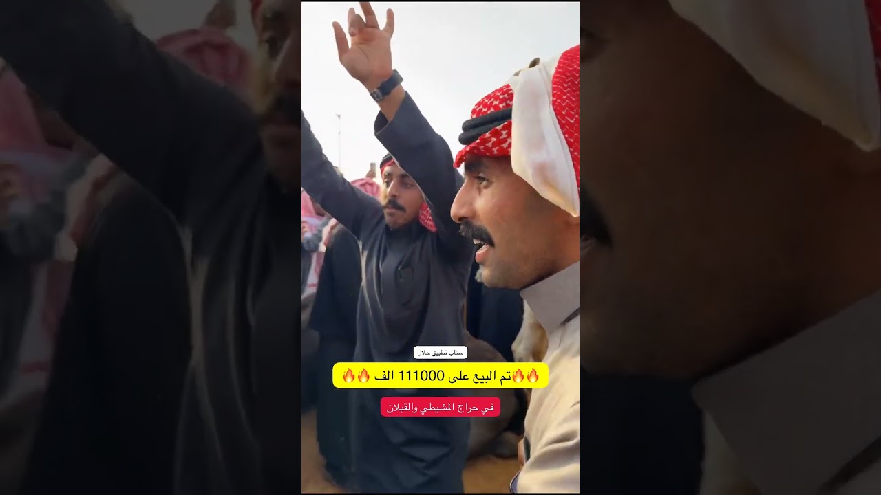 بيعت الخلفة حدرها حوار جده مشاكل أبو عجاريد على 111000 الف في حراج المشيطي والقبلان 🔥🔥ببريدة#اكسبلور