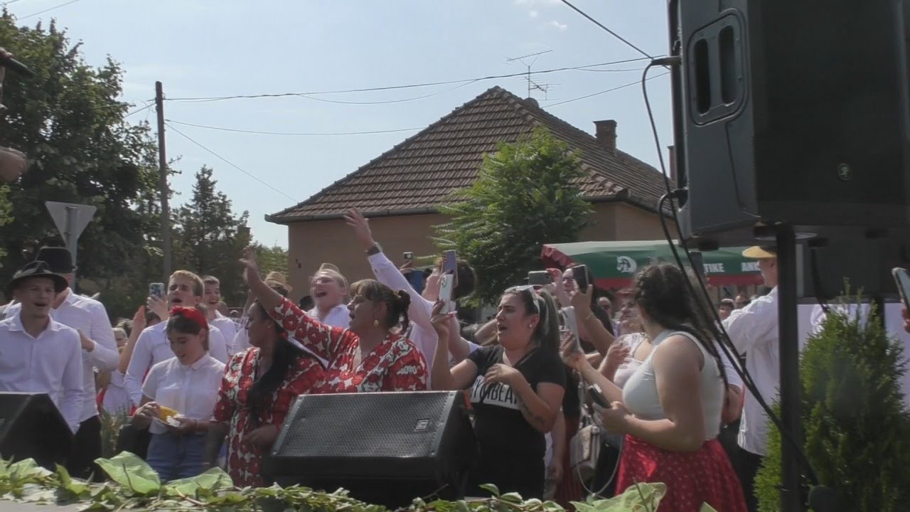 Szüreti felvonulás Lajosmizse  - Kis Grófo