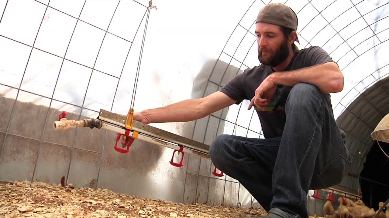 Field Trip: Brooder House Watering Systems