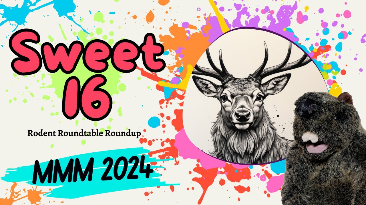 Rodent Recap - 2024 MMM - Sweet 16!