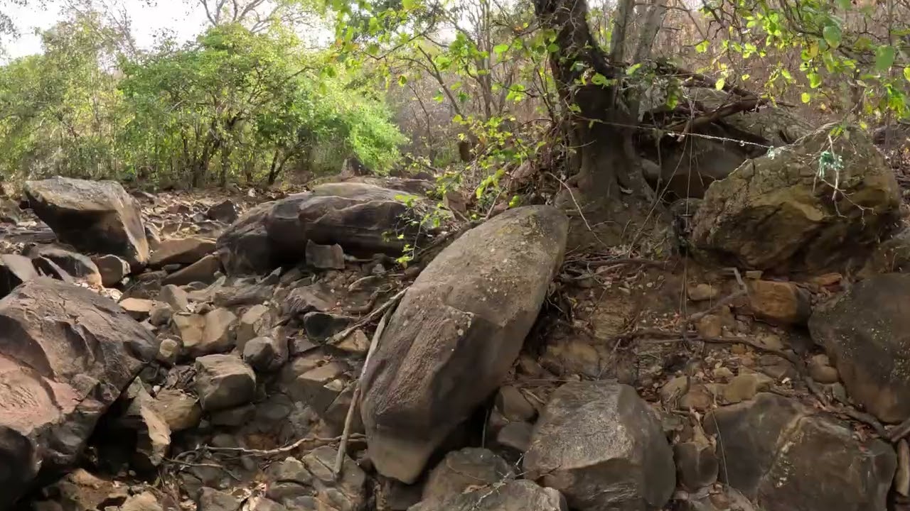 Uma paisagem rochosa da Caatinga
