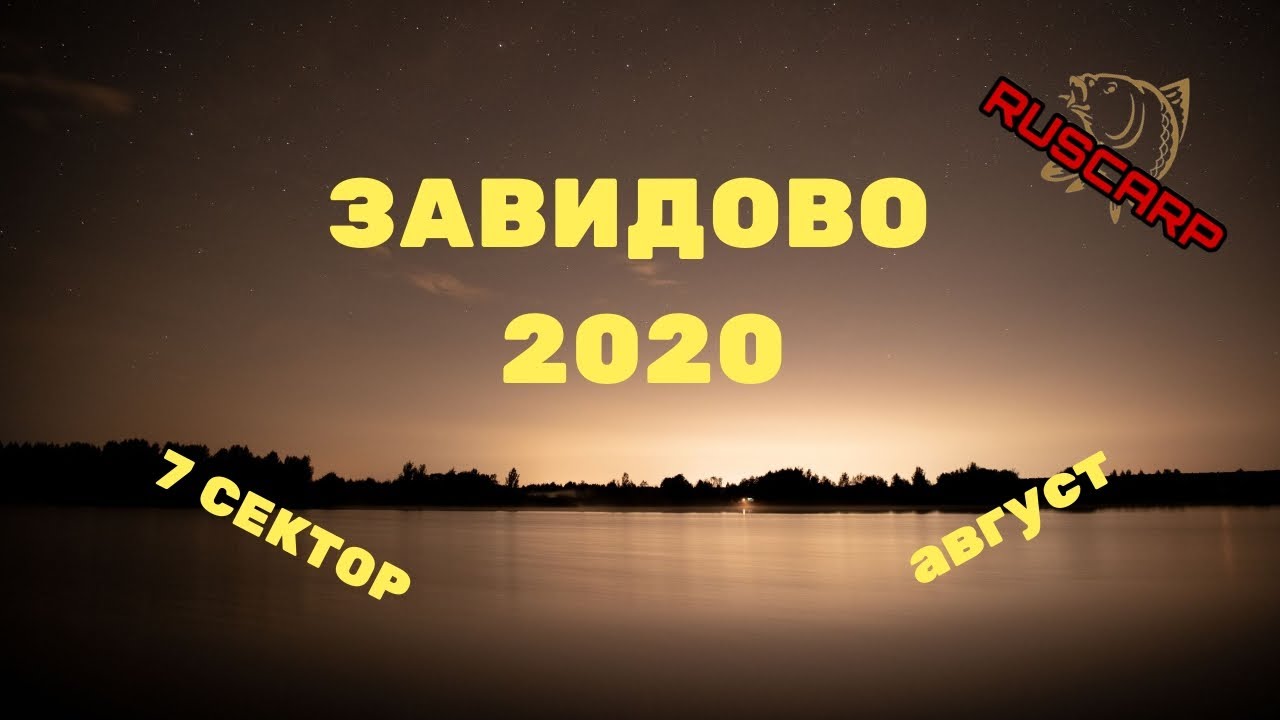 Завидово. КАРПФИШИНГ 2020. CARPFISHING IN RUSSIA (Zavidovo)