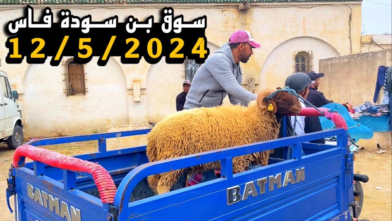 سوق بن سودة فاس ثمن الحولي من فم 👄 العياد رخيصة مقارنة بداخل السوق