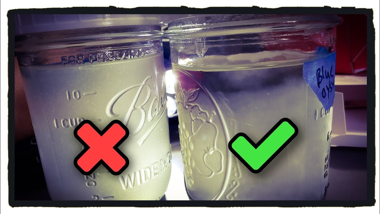 How to Tell if Liquid Culture Has Gone Bad