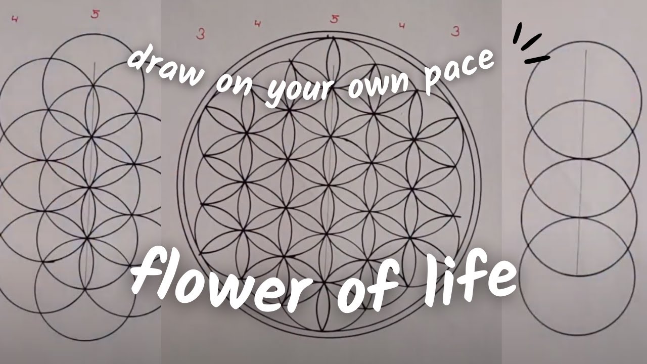 How to draw the Flower of Life for Beginners step by step (Easy way) | Sacred Geometry Tutorial