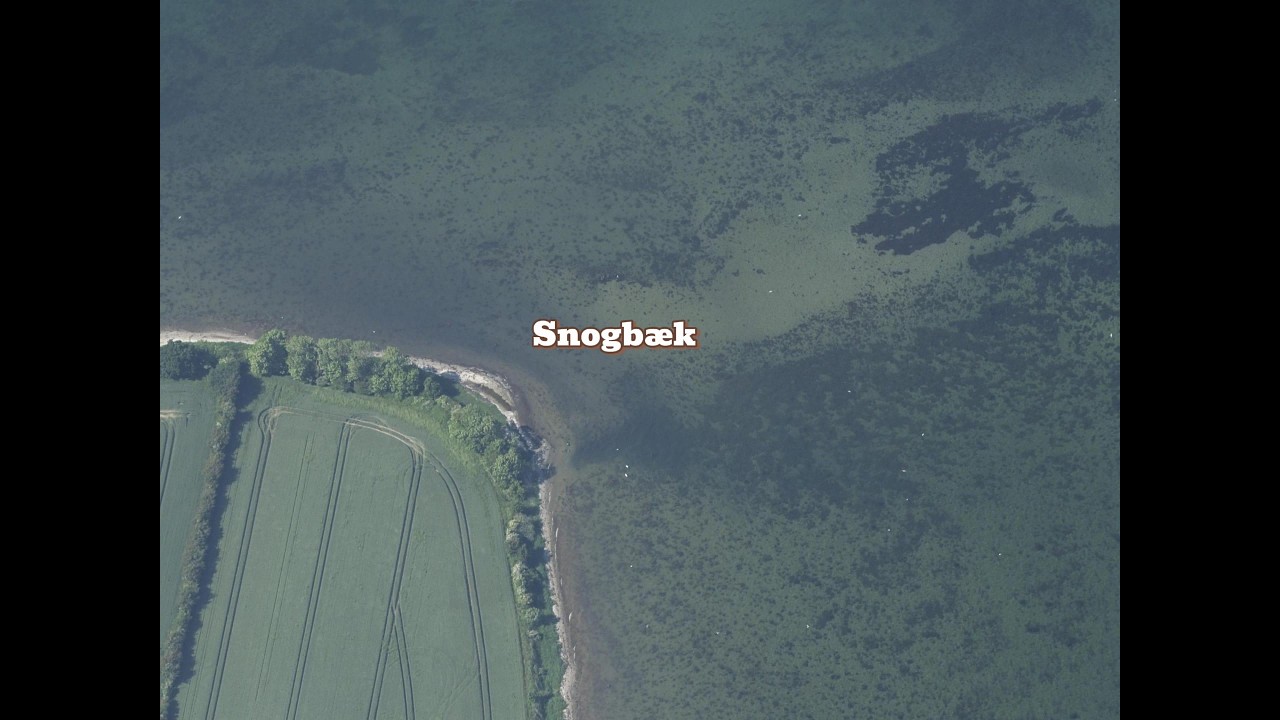 Snogbæk