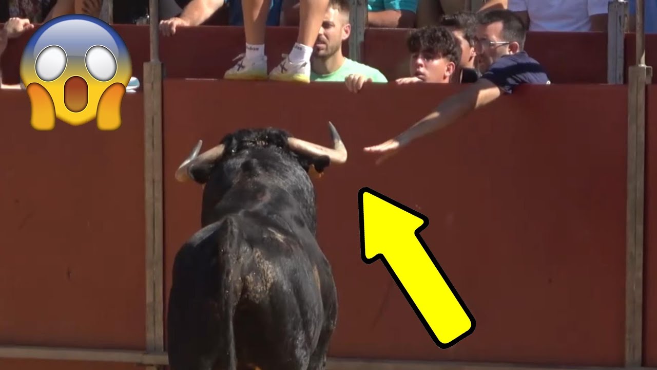 😱 Casi Pierde el Brazo por Intentar Tocar un TORO BRAVO!