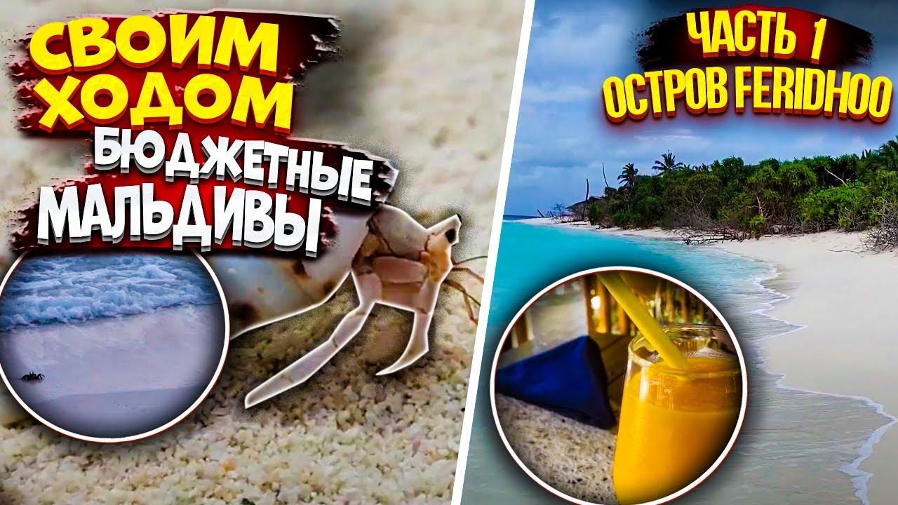 Бюджетные Мальдивы! Часть 1: Feridhoo. Своим ходом с семьей. Детальный обзор: +/-   2022 г.