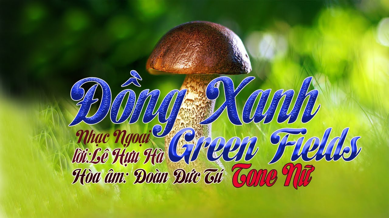 karaoke Đồng Xanh Green Fields |tone Nữ|