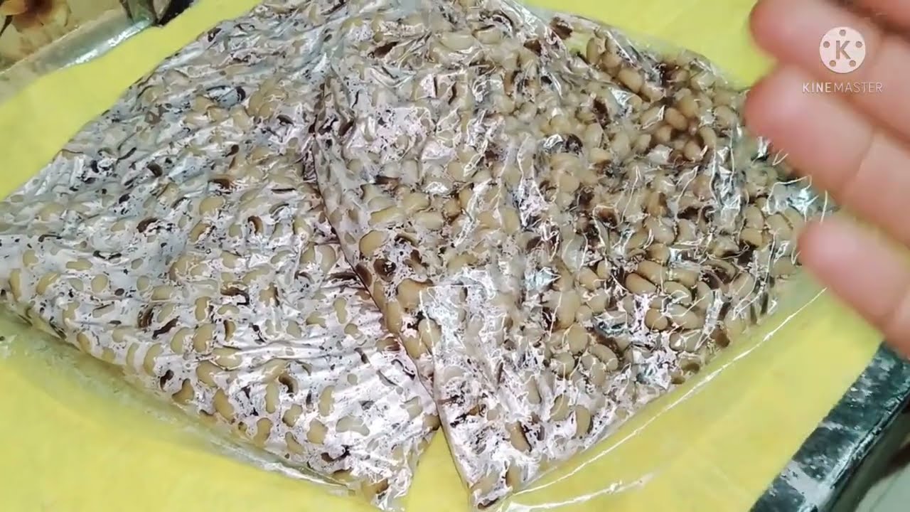 تفريز اللوبيا الناشفه من سنه للسنه (تحضيرات رمضان)