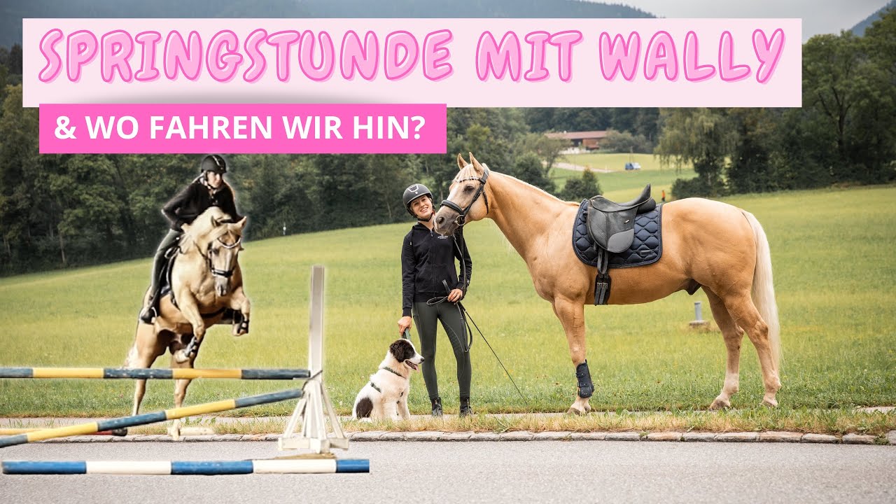 Springstunde ~ wo geht es nur am Wochenende hin?🥰😍