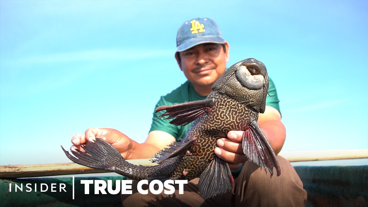How 'Devil Fish' Invaded North America. Could Pet Treats Be The Solution? | True Cost