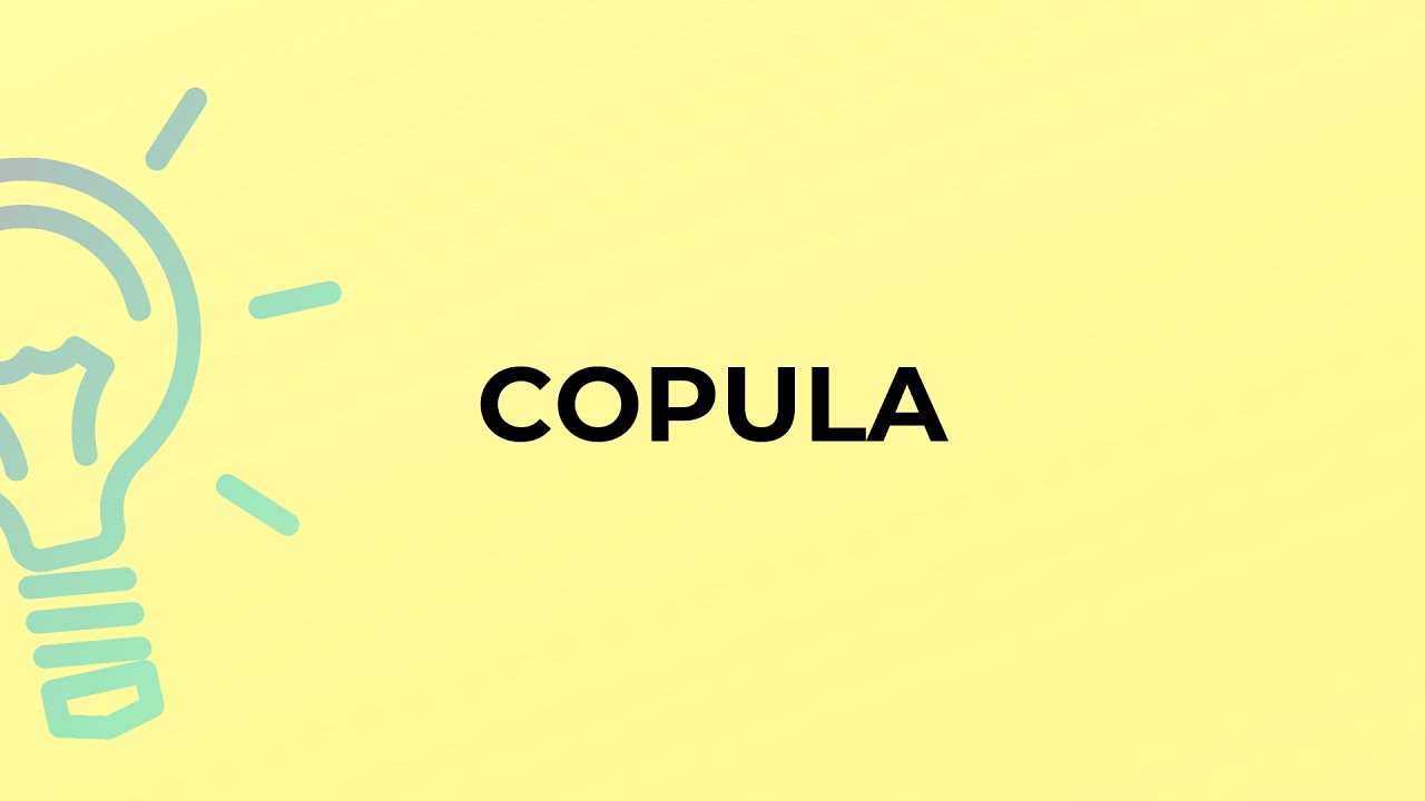 What is the meaning of the word COPULA?