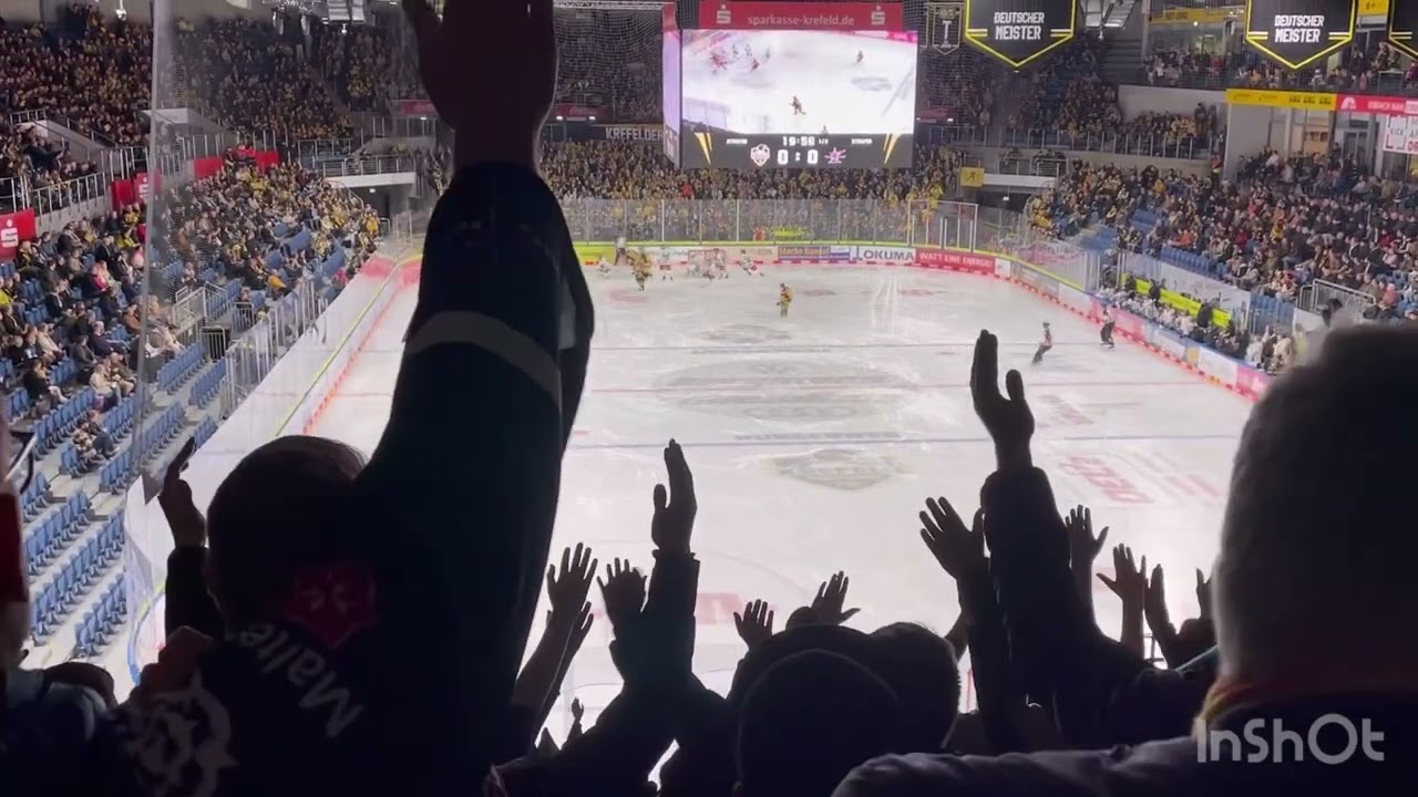 Krefeld Pinguine - Starbulls Rosenheim. DEL2 Fan Videos. 03.11.2023