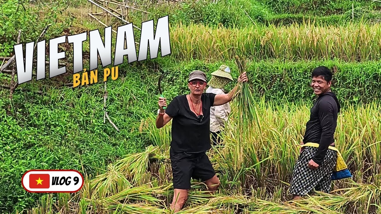 DANS LES RIZIÈRES DE MAI CHÂU - VIETNAM 🇻🇳 VLOG 9