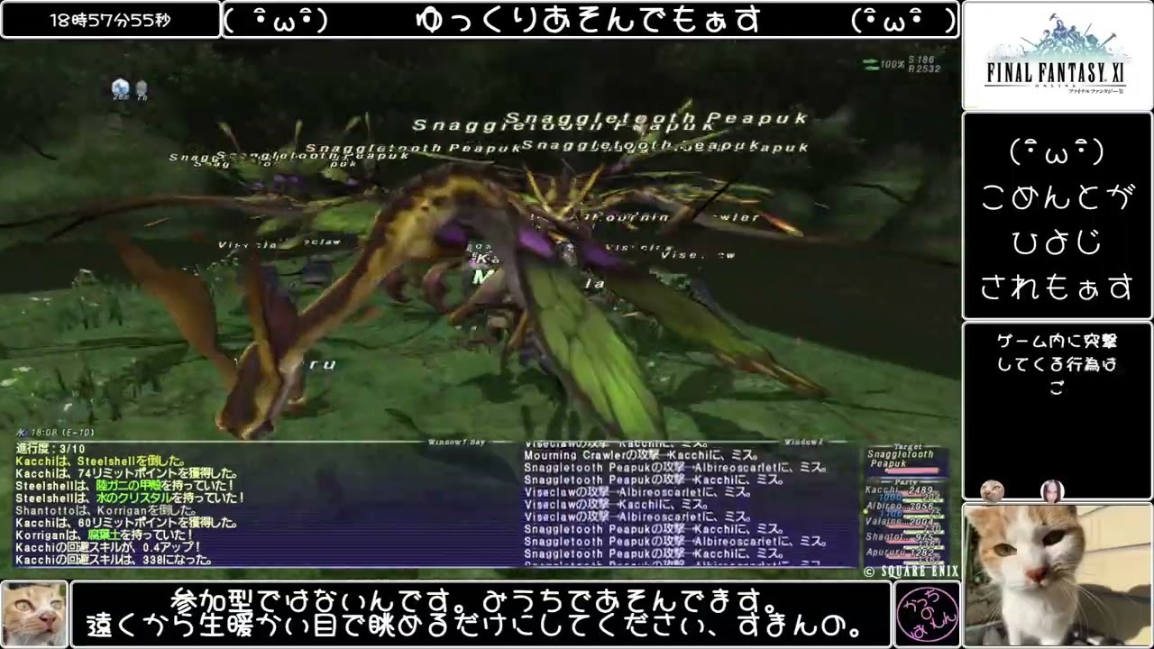 ファイナルファンタジー11 その70